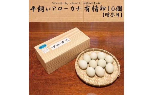 アローカナ 鶏卵 10個 1254310 - 徳島県勝浦町