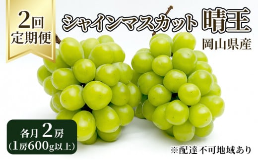 ぶどう 定期便 2024年 先行予約 シャイン マスカット 晴王 各月2房（1房600g以上） 2回コース マスカット ブドウ 葡萄 岡山県産 国産  フルーツ 果物 ギフト [№5735-1733] - 岡山県瀬戸内市｜ふるさとチョイス - ふるさと納税サイト