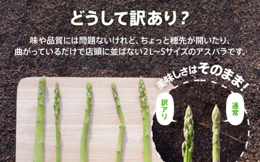 数量限定 訳あり 規格外 アスパラ 2L～Sサイズ 1.5kg 朝採り 直送 夏芽 グリーンアスパラガス 朝採れ 先行予約  【2024年6月から8月お届け】 BT08 - 福岡県大木町｜ふるさとチョイス - ふるさと納税サイト