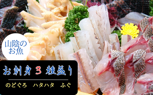 山陰のお刺身用魚3点詰合せセット(ノドグロ、ハタハタ、フグの3種)　 404023 - 兵庫県新温泉町