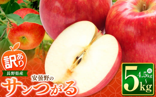 【2024年 令和6年度発送 先行予約】安曇野の サンつがる 約 4.5kg ～ 5kg ｜ リンゴ りんご 林檎 果物 くだもの フルーツ 果実 果汁サンつがる さんつがる 家庭用 わけあり 訳アリ 長野県 松川村 