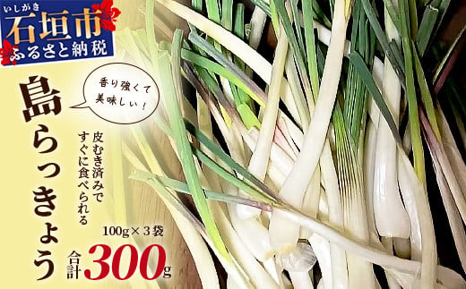 【11月～6月発送】島らっきょ（皮むき済み）300ｇ（100ｇ×3袋入り）【 沖縄県 石垣市 石垣 産地直送 島らっきょ 島らっきょう らっきょう 皮むき 皮むき済】KA-1