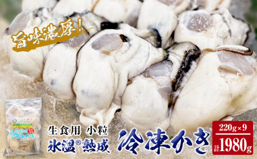 氷温熟成 冷凍 かき ( 生食用 ) 小粒 220ｇ× 9ｐ カキ 冷凍牡蠣 冷凍 国産 北海道産 生 剥き牡蠣 濃厚 旨味 むき身 1243560 - 宮城県石巻市