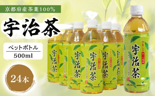 [宇治茶]京都産 宇治茶 ペットボトル 500 ml × 24本 ( 京都府産 京都産 お茶 茶 京都 宇治 宇治茶 宇治抹茶 緑茶 ペットボトル 500 24本 煎茶 かぶせ茶 宇治抹茶 熱中症対策 熱中症予防 熱中症 )