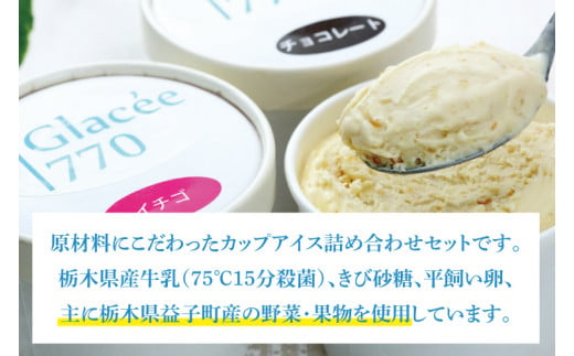 栃木県益子町のふるさと納税 AB001　無添加アイスクリームセット