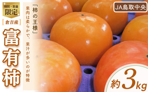 富有柿 柿 果物 フルーツ 期間限定 数量限定 鳥取県 倉吉市 364789 - 鳥取県倉吉市