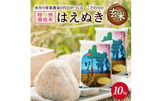 SA2064　令和6年産【玄米】特別栽培米 はえぬき　10kg(5kg×2袋)「農家直送」 KA