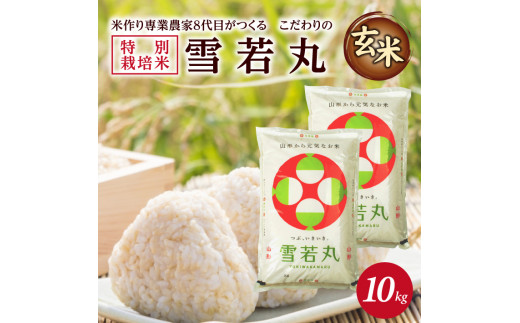 SA2066　令和6年産【玄米】特別栽培米 雪若丸　10kg(5kg×2袋)「農家直送」 KA