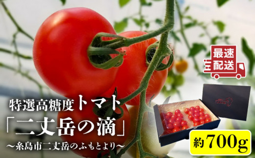 【二丈岳の滴】化粧箱入り トマト 約350g×2パック 糸島市 / 株式会社さいかい [AFL001] トマト とまと