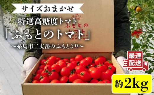 糸島二丈岳 【ふもとのトマト】サイズおまかせ 約2kg（専用箱入り） 糸島市 / 株式会社さいかい [AFL002] トマト とまと
