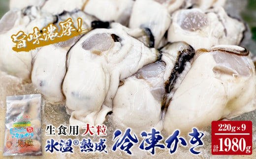 氷温熟成 冷凍 かき ( 生食用 ) 大粒 220ｇ× 9ｐ カキ 冷凍牡蠣 冷凍 国産 北海道産 生 剥き牡蠣 濃厚 旨味 むき身 1243563 - 宮城県石巻市