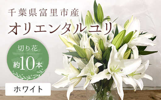 富里市産 オリエンタルユリ切り花(ホワイト)約10本