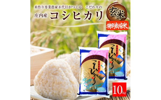 SA2061　令和6年産【玄米】特別栽培米 コシヒカリ　10kg(5kg×2袋)「農家直送」 KA