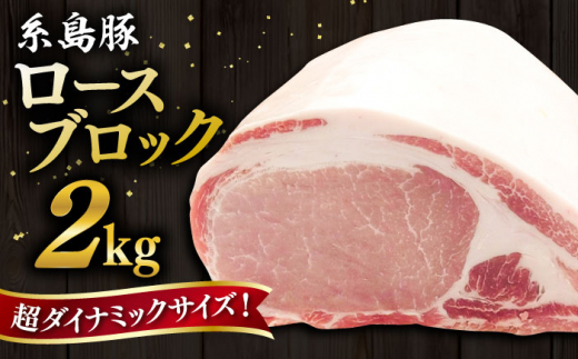 糸島豚 ロース ブロック肉 2kg 糸島市 / ヒサダヤフーズ 豚 豚肉 [AIA068]