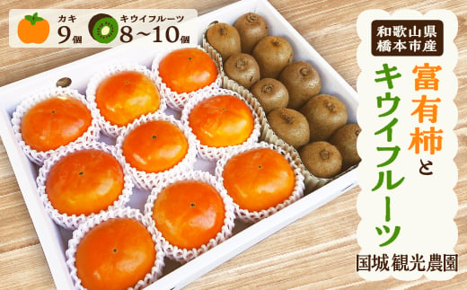 富有柿とキウイフルーツの詰め合わせ【1077104】 439589 - 和歌山県橋本市