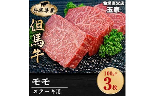 但馬牛ステーキ　モモ肉　100g×3枚　兵庫県産　国産【1044906】