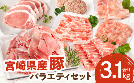 宮崎県産豚 バラエティセット7種 合計3.1kg_M132-038 579860 - 宮崎県宮崎市