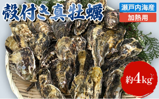 [№5258-0002]牡蠣 殻付き 加熱用 約4kg 旬にお届け！ 姫路産 1年牡蠣 真牡蠣 かき 生牡蠣 生カキ 生かき 魚介類 魚介 海鮮 海の幸 兵庫県 2024年1月中旬以降順次発送予定 754765 - 兵庫県姫路市