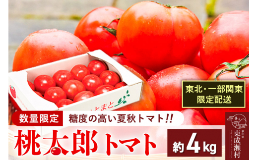 【東北・一部関東限定配送】桃太郎トマト 約4kg 日付指定不可 収穫でき次第出荷