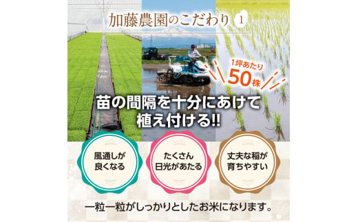 山形県酒田市のふるさと納税 SA2225　9月下旬配送／令和6年産【精米】特別栽培米 雪若丸　10kg(5kg×2袋)「農家直送」 KA