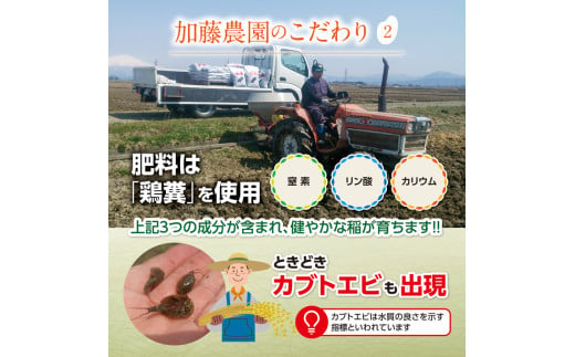 山形県酒田市のふるさと納税 SA2225　9月下旬配送／令和6年産【精米】特別栽培米 雪若丸　10kg(5kg×2袋)「農家直送」 KA