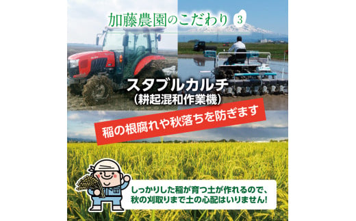 山形県酒田市のふるさと納税 SA2225　9月下旬配送／令和6年産【精米】特別栽培米 雪若丸　10kg(5kg×2袋)「農家直送」 KA