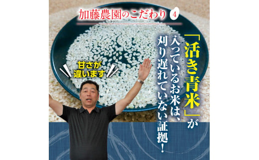 山形県酒田市のふるさと納税 SA2225　9月下旬配送／令和6年産【精米】特別栽培米 雪若丸　10kg(5kg×2袋)「農家直送」 KA