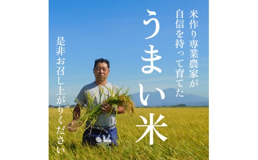 山形県酒田市のふるさと納税 SA2225　9月下旬配送／令和6年産【精米】特別栽培米 雪若丸　10kg(5kg×2袋)「農家直送」 KA