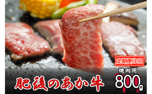 【定期便3回】肥後の赤牛 焼肉用 800g 972424 - 熊本県小国町