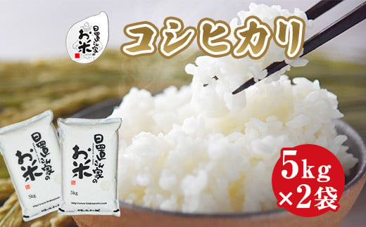 １４８．日置さん家のお米「コシヒカリ」5kg×2袋【玄米・2024年産】 879228 - 鳥取県北栄町