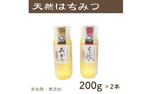 竹内養蜂の蜂蜜2種(みかん・くろがねもち) 各200g プラスチック便利容器【1488861】 1301751 - 愛知県半田市