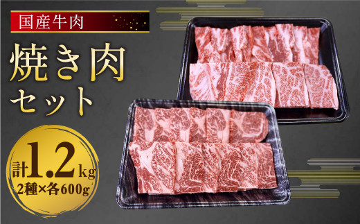 国産 牛肉 焼肉 セット 約1.2kg (300g×2)×2種 タレ付き 1297664 - 熊本県人吉市