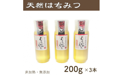 竹内養蜂の蜂蜜1種(くろがねもち3本) 各200g プラスチック便利容器【1488852】 1301744 - 愛知県半田市