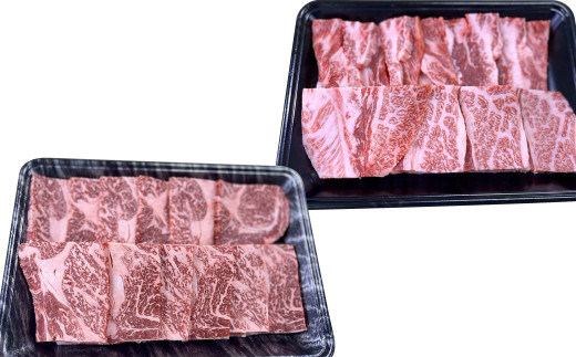 国産牛肉 焼肉 セット 約1.2kg (300g×2種) タレ付き