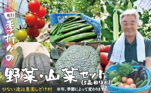 四季折々の野菜・山菜セット(5品目ほど) 45P3203