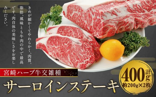 宮崎 ハーブ牛 交雑種 サーロイン ステーキ 約400g (約200g×2枚) 1297666 - 熊本県人吉市