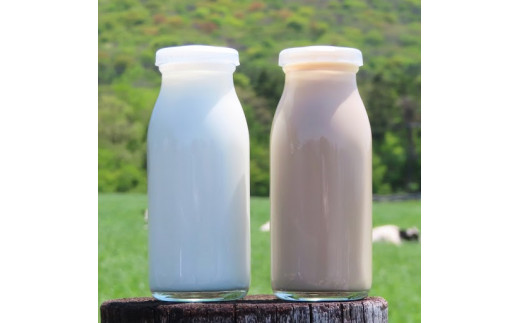【定期便】山形県産 やまべ牛乳セット (牛乳 1L×3・コーヒー牛乳 900ml×1) ×12回 F21A-325
