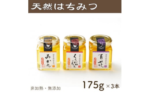 竹内養蜂の蜂蜜3種(みかん・くろがねもち・百花) 各175g 瓶【1302209】 1301674 - 愛知県半田市