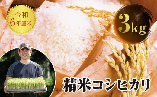 令和6年産 JAS認定 有機栽培米 コシヒカリ 精米 3kg 米 お米 おこめ ご飯 ごはん 福島県 西会津町 F4D-0728 1309582 - 福島県西会津町