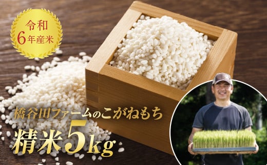 減農薬・減化学肥料栽培 もち米 こがねもち 5kg