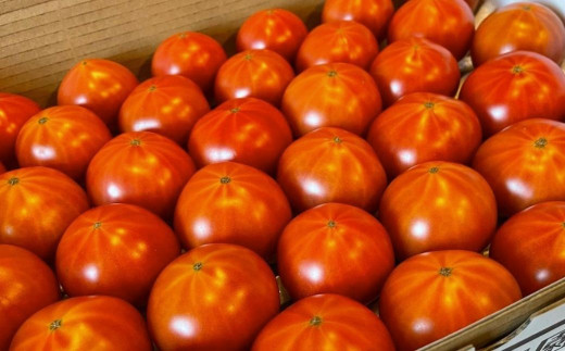 『越田農園』のフルーツトマトは、おしりから伸びる星状の筋がチャームポイント。