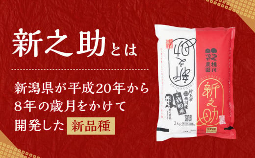 新潟県村上市のふるさと納税 A4100 【精米即日発送・令和6年産米】新潟県村上市産  新之助 6kg