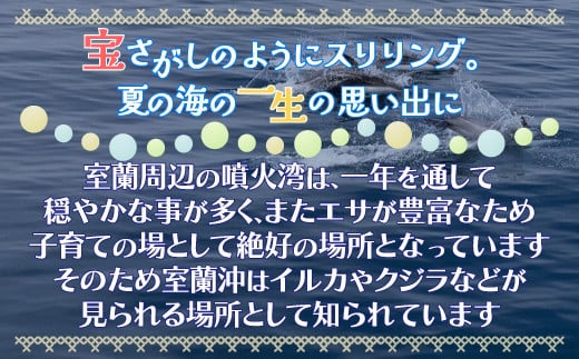 室蘭 イルカウォッチングチケット 大人2名様 【 ふるさと納税 人気 おすすめ ランキング 北海道 室蘭 大人 2名 イルカ ウォッチング クジラ  チケット 観光 プライベート イベント 休日 北海道 室蘭市 送料無料】 MROX004 - 北海道室蘭市｜ふるさとチョイス - ふるさと納税 ...