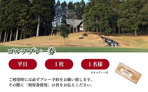 山武グリーンカントリー俱楽部】ゴルフプレー券（平日用）／ ゴルフ場 利用券 ゴルフプレー券 プレーチケット Golf チケット ゴルフプレー プレー券  千葉県 山武市 SMAM003 - 千葉県山武市｜ふるさとチョイス - ふるさと納税サイト