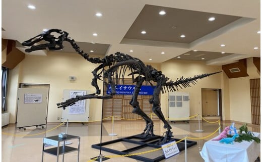 国内最大の全身骨格化石