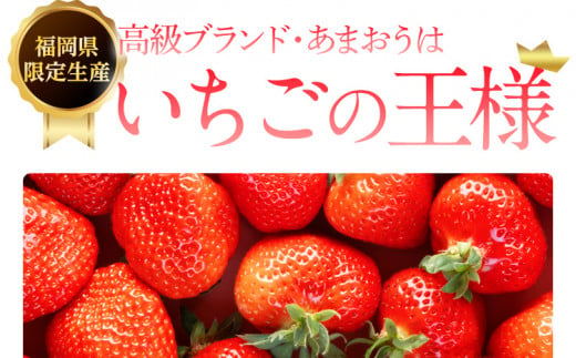 あまおう いちご 約270g×4パック 合計1080g 【2025年1月～3月に順次 