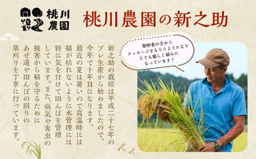 新潟県村上市のふるさと納税 A4100 【精米即日発送・令和6年産米】新潟県村上市産  新之助 6kg