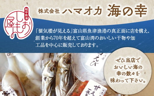 富山県魚津市のふるさと納税 【3か月定期便】伝承の紅鮭 10切 ｜ 切り身 魚 ムニエル フライ お弁当 ハマオカ海の幸 定期便 魚貝類 肉厚 食べごたえ 塩鮭 塩紅鮭 鮭の切り身 おかず ご飯のお供 おにぎりの具 朝食 ※北海道・沖縄・離島への配送不可