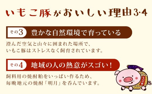 【年6回定期便/奇数月】いもこ豚（彩） 鉄板焼きセット 2.1kg×6回