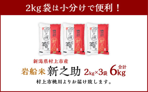 新潟県村上市のふるさと納税 A4100 【精米即日発送・令和6年産米】新潟県村上市産  新之助 6kg